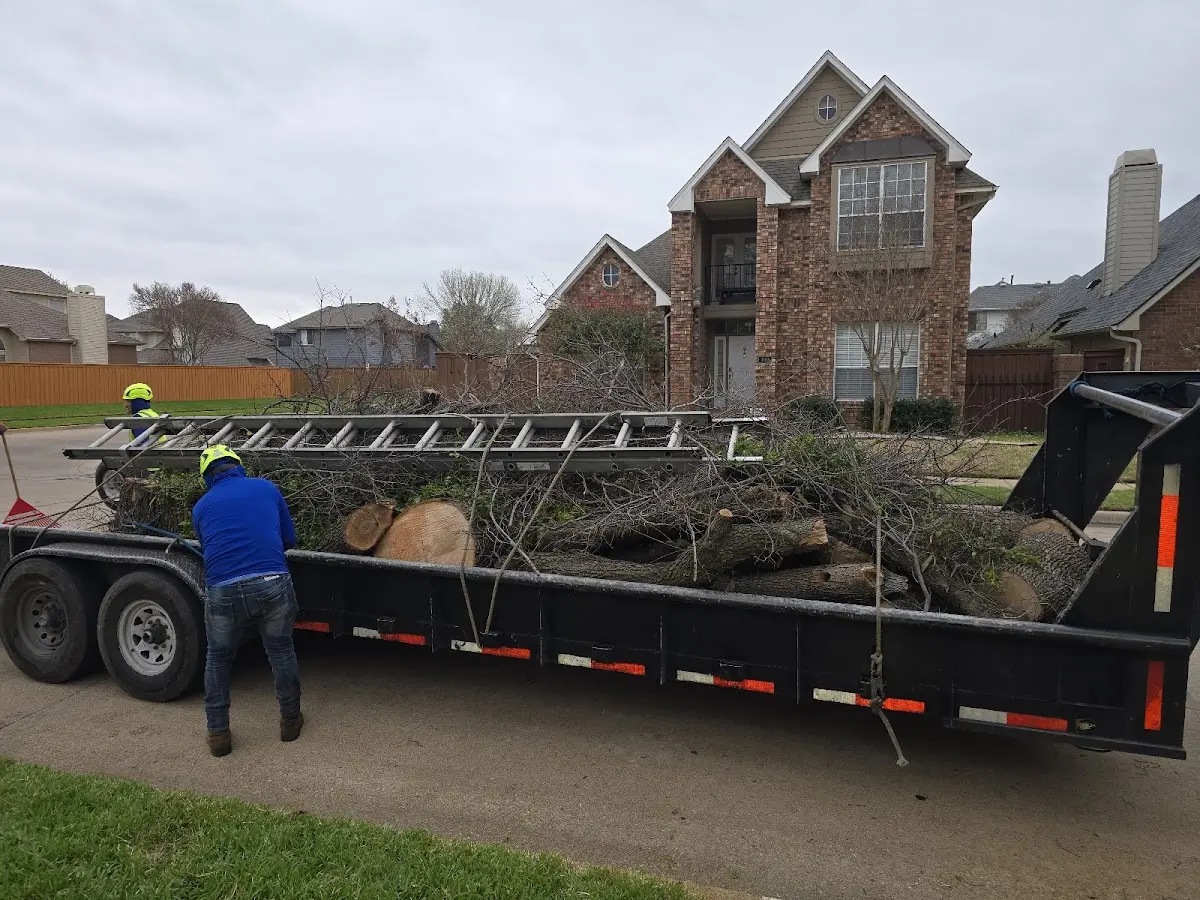 Expert Tree Pest Control with proper safety equipment in Boca Grande